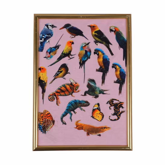 합리적인 가격의 섬유 스크린 인쇄용 액체 실리콘 안료 잉크